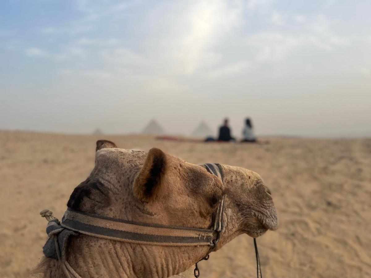 Pyramids Top Success Result Il Il Cairo Esterno foto